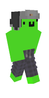 Skin preview