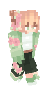 Skin preview