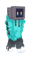 Skin preview