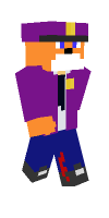 Skin preview