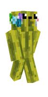 Skin preview