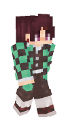 Skin preview