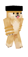 Skin preview