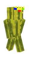 Skin preview