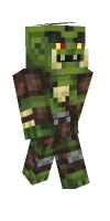 Skin preview