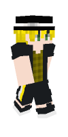 Skin preview
