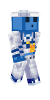 Skin preview