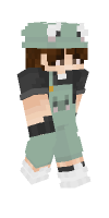 Skin preview
