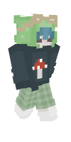 Skin preview