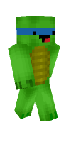Skin preview