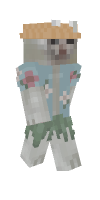 Skin preview