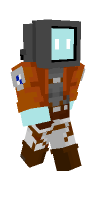 Skin preview