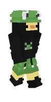 Skin preview