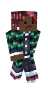 Skin preview