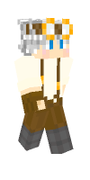 Skin preview
