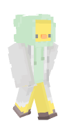 Skin preview