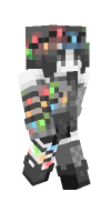 Skin preview