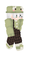 Skin preview
