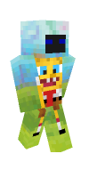 Skin preview
