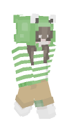 Skin preview