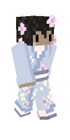 Skin preview