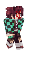 Skin preview