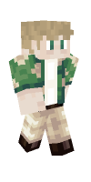 Skin preview