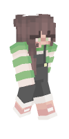 Skin preview