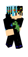 Skin preview