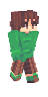 Skin preview