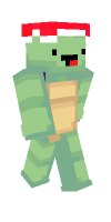 Skin preview