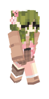Skin preview