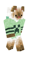 Skin preview