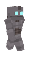 Skin preview