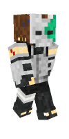 Skin preview