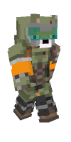 Skin preview