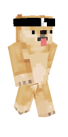 Skin preview