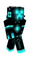 Skin preview