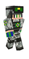 Skin preview