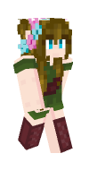 Skin preview