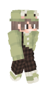 Skin preview