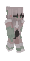 Skin preview