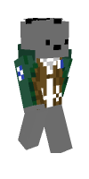 Skin preview