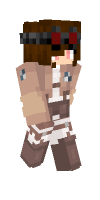 Skin preview