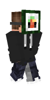 Skin preview