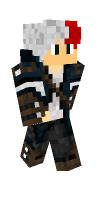 Skin preview