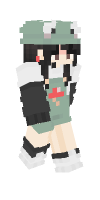 Skin preview