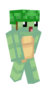 Skin preview