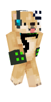 Skin preview