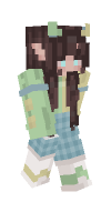 Skin preview